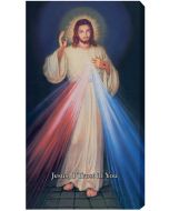 Hyla Divine Mercy canvas 10x18