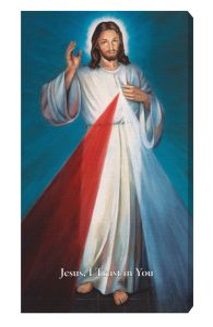 Blue Hyla Divine Mercy  Deluxe Canvas