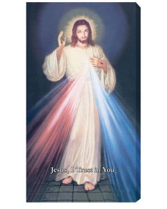 Hyla Divine Mercy  Deluxe Canvas