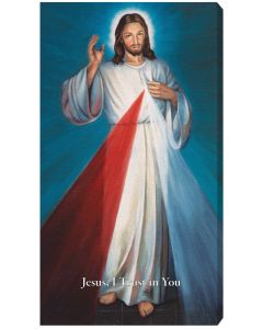 Blue Hyla Divine Mercy 10 x 18 Canvas Image