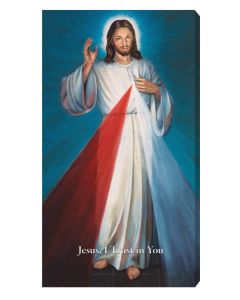 Blue Hyla Divine Mercy  Deluxe Canvas