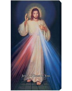 Hyla Divine Mercy canvas 10x18