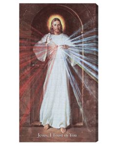 Skemp Divine Mercy Deluxe Canvas